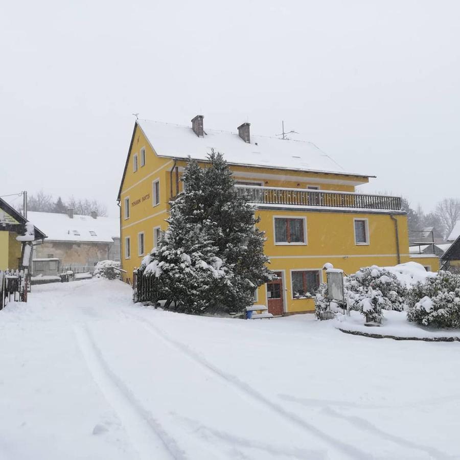 Pension Pastis Janov Exterior photo