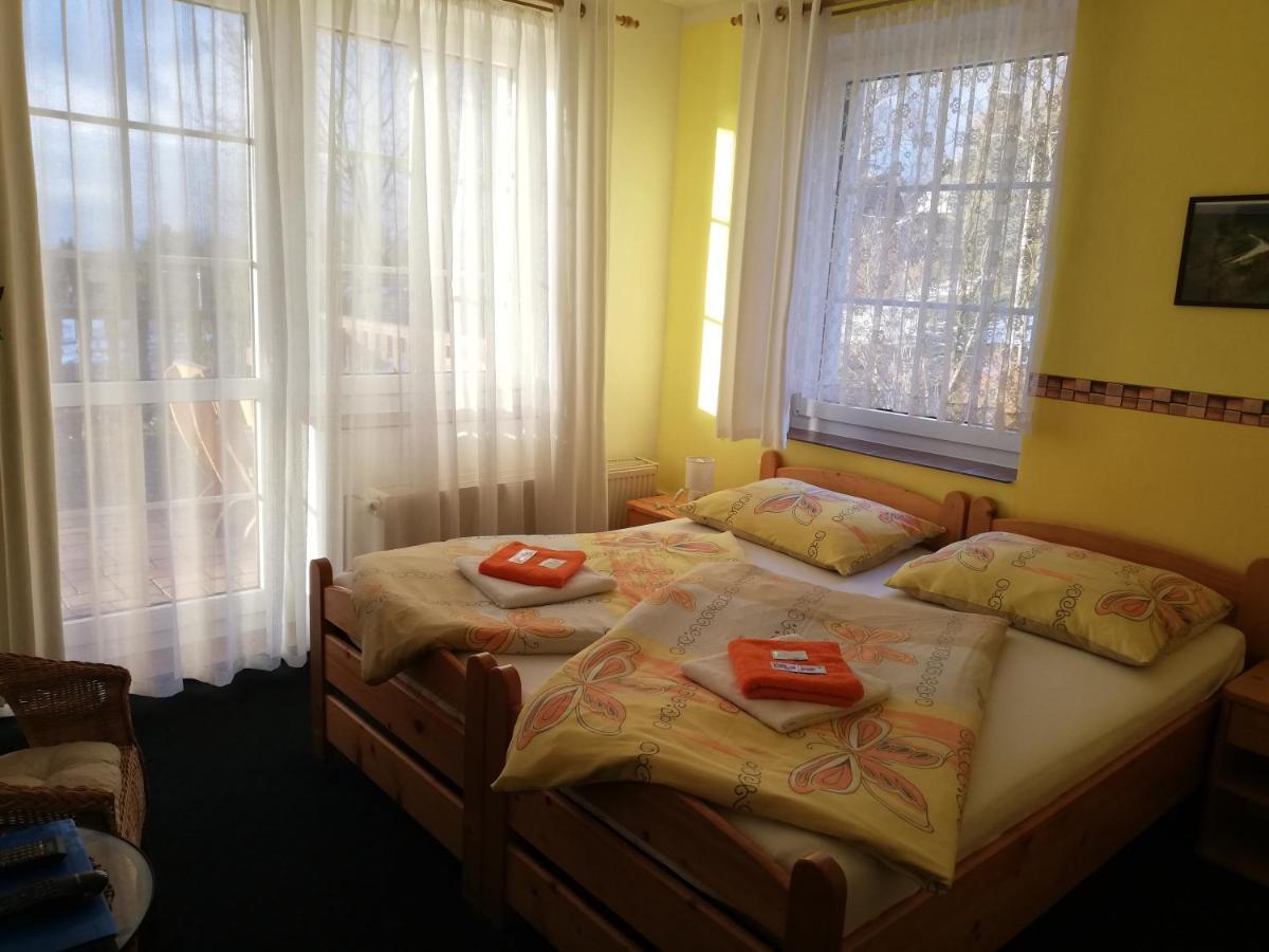 Pension Pastis Janov Exterior photo